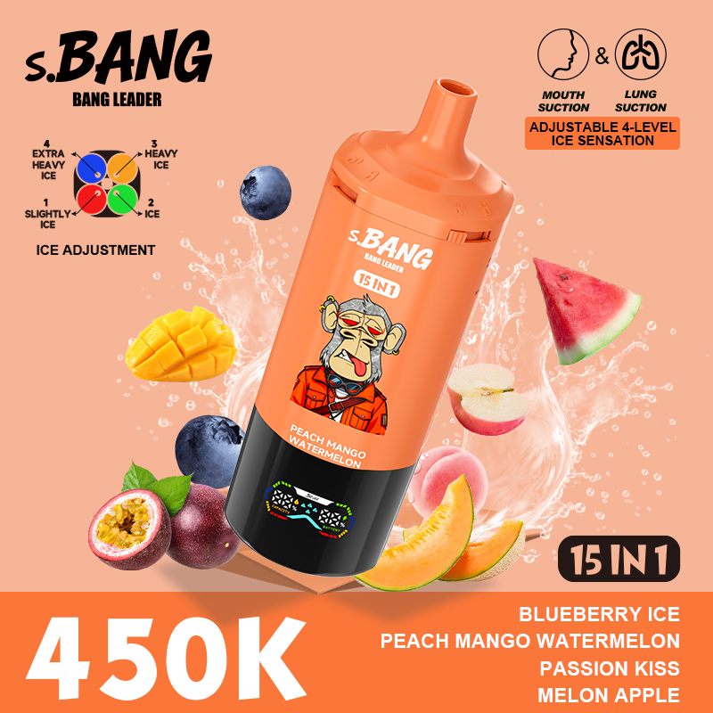 Bang Leader 450K 15 in 1 - Image 14