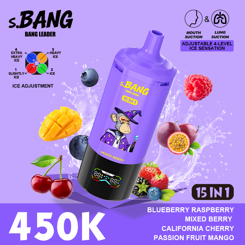 Bang Leader 450K 15 in 1 - Image 13
