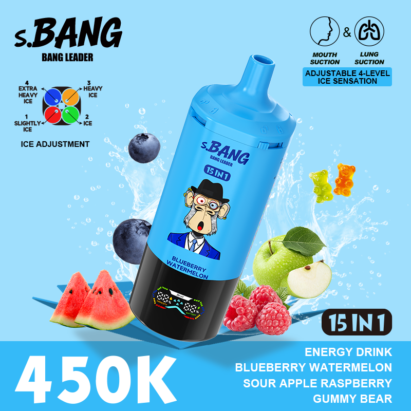 Bang Leader 450K 15 in 1 - Image 10