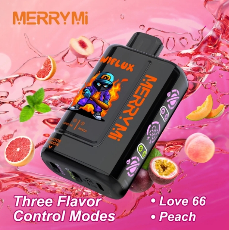 MerryMi 24k Wiflux - Image 12