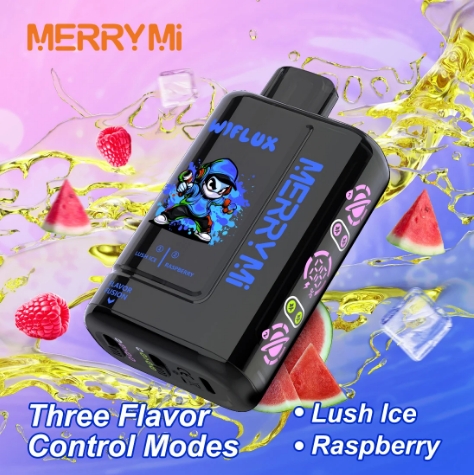 MerryMi 24k Wiflux - Image 11