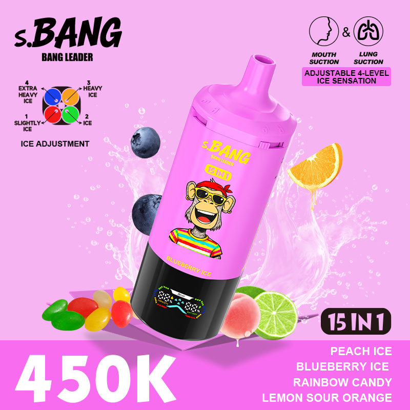 Bang Leader 450K 15 in 1 - Image 11