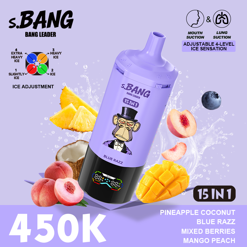Bang Leader 450K 15 in 1 - Image 9