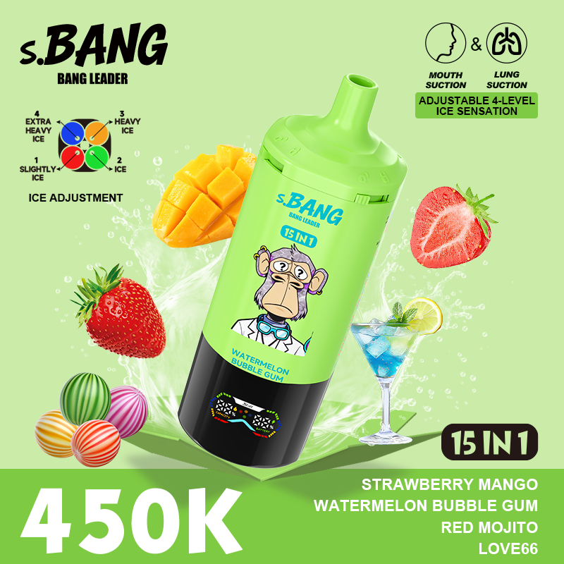 Bang Leader 450K 15 in 1 - Image 8