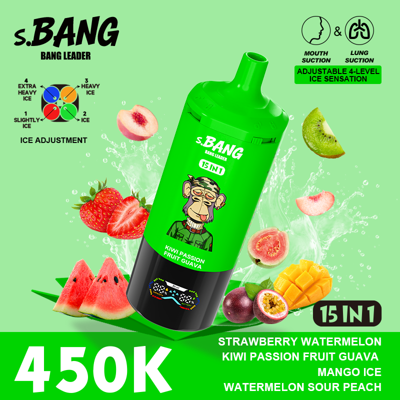 Bang Leader 450K 15 in 1 - Image 7