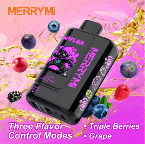 MerryMi 24k Wiflux - Image 4