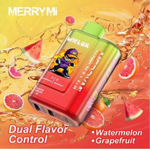 MerryMi 24k Wiflux - Image 2