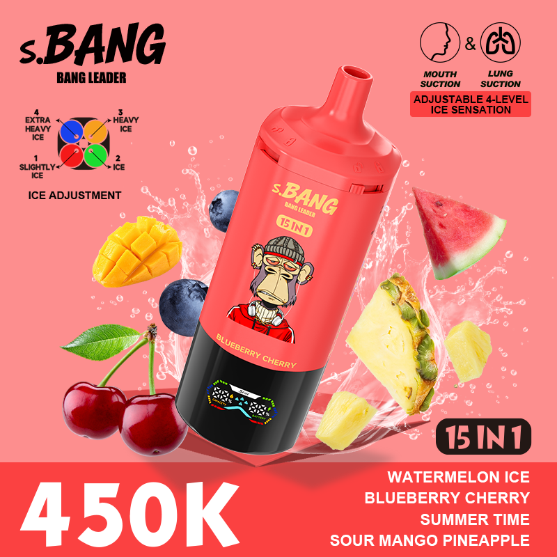 Bang Leader 450K 15 in 1 - Image 6