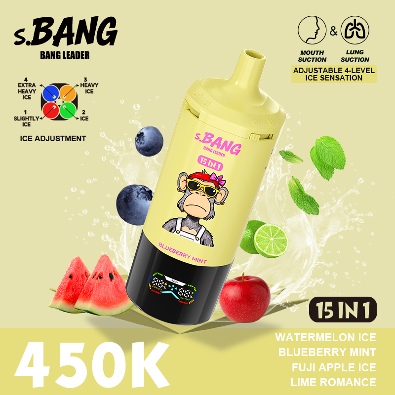 Bang Leader 450K 15 in 1 - Image 5