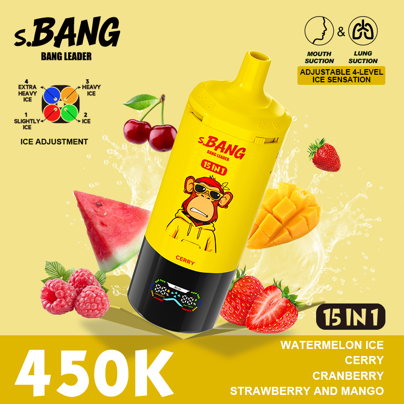 Bang Leader 450K 15 in 1 - Image 4