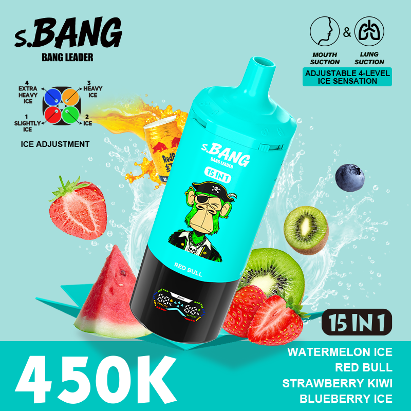 Bang Leader 450K 15 in 1 - Image 3