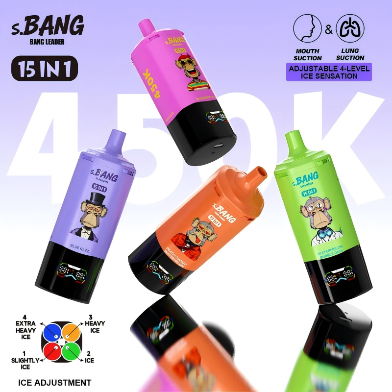 Bang Leader 450K 15 in 1 - Image 2