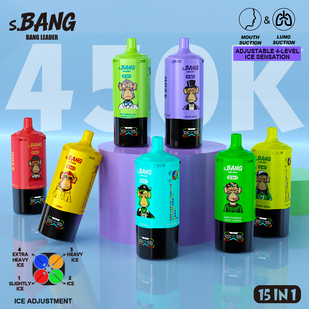 Bang Leader 450K 15 in 1