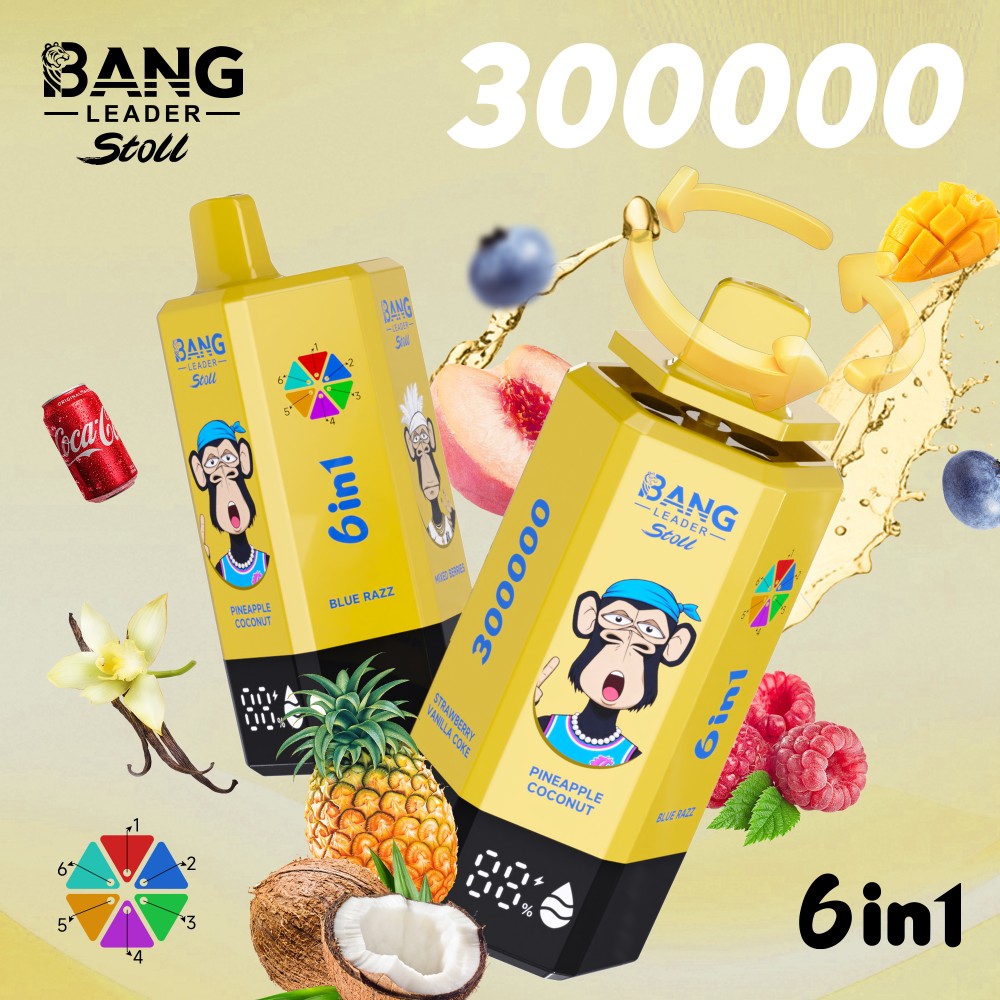 Bang Leader 300K 6in1 - Image 8