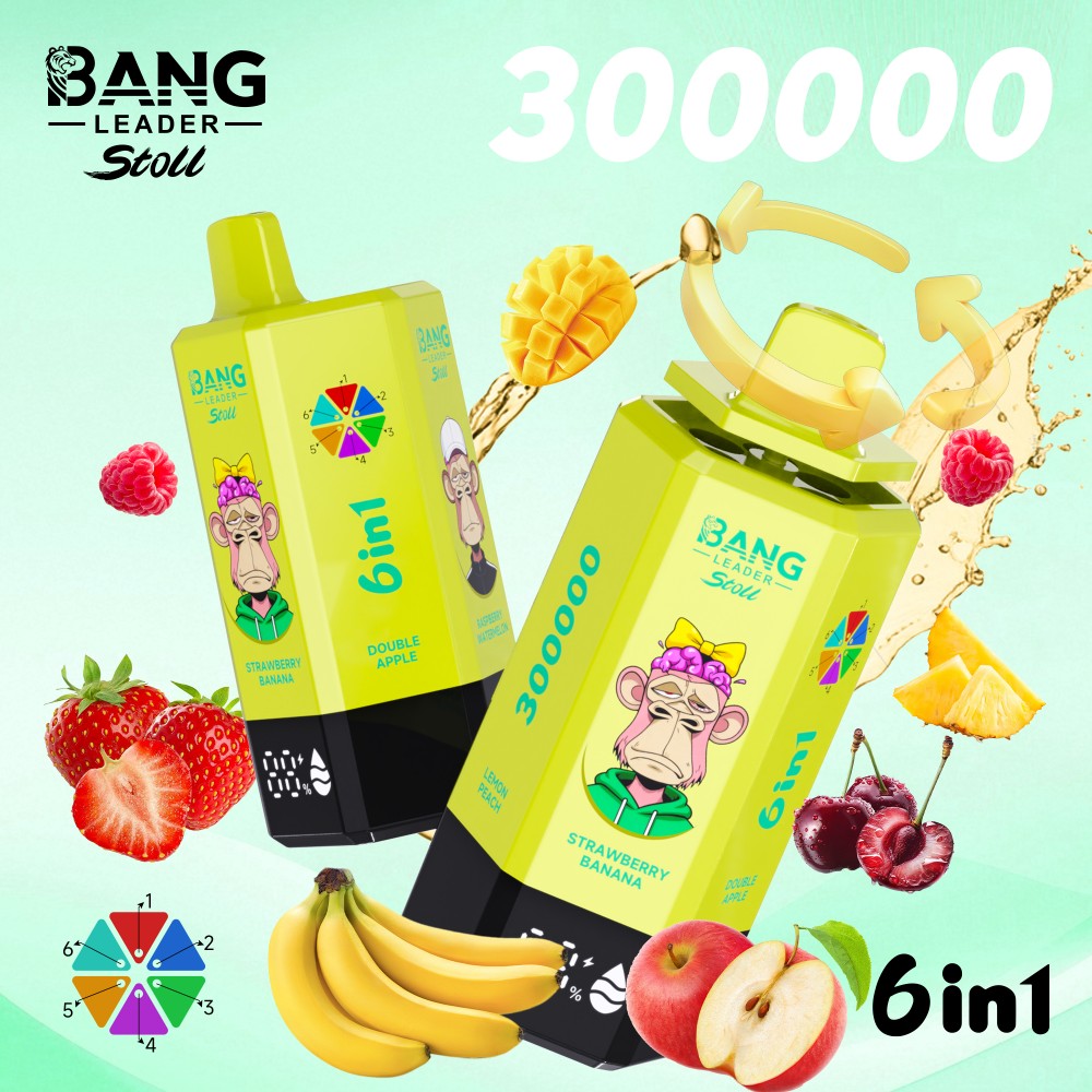 Bang Leader 300K 6in1 - Image 4