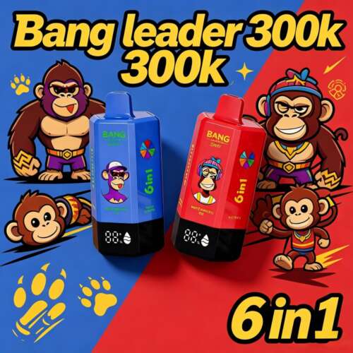 Bang Leader 300K 6in1